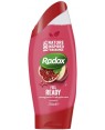 Radox Shower Gel Feel Ready 250ml
