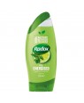 Radox Shower Gel Feel Energised (green) 250ml	